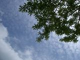 Sample Pict