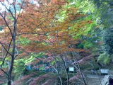 鳳来寺 鳳来寺
