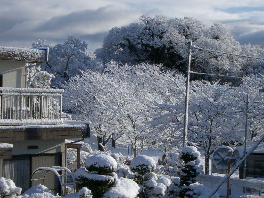 家からみた雪景色