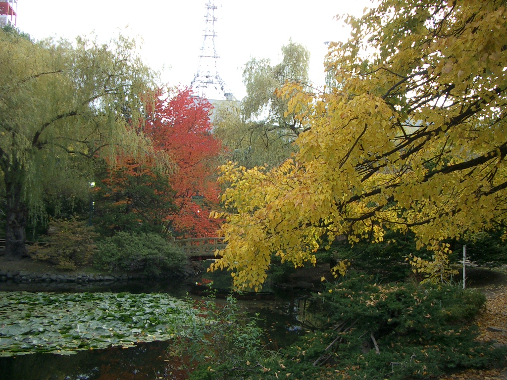 赤レンガ庁舎の紅葉