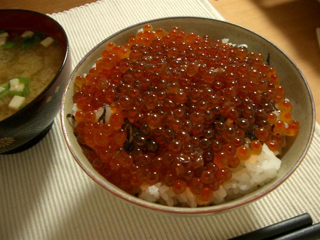 いくら丼 その 1